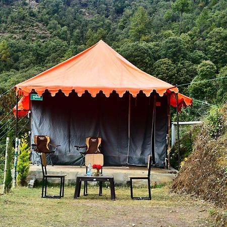 Forest Acres Camps مكتزور المظهر الخارجي الصورة
