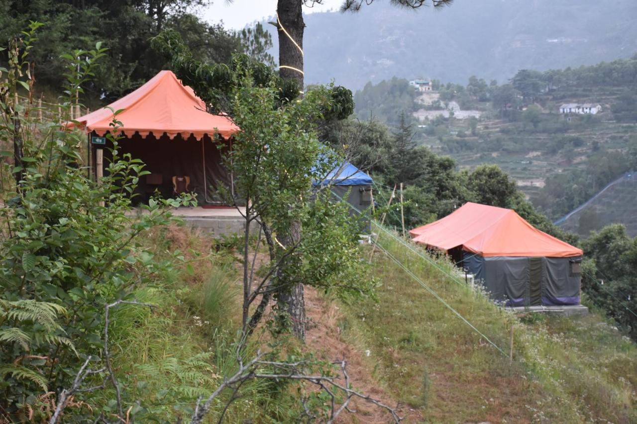 Forest Acres Camps مكتزور المظهر الخارجي الصورة