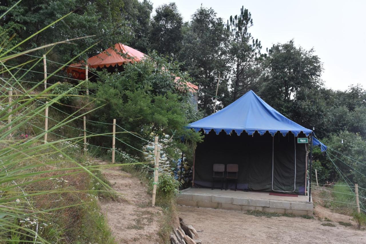 Forest Acres Camps مكتزور المظهر الخارجي الصورة