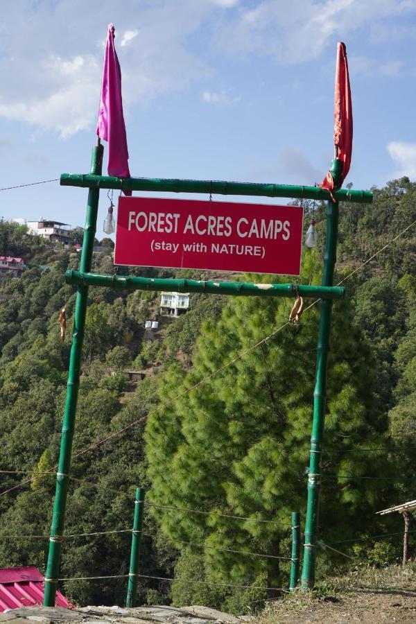 Forest Acres Camps مكتزور المظهر الخارجي الصورة