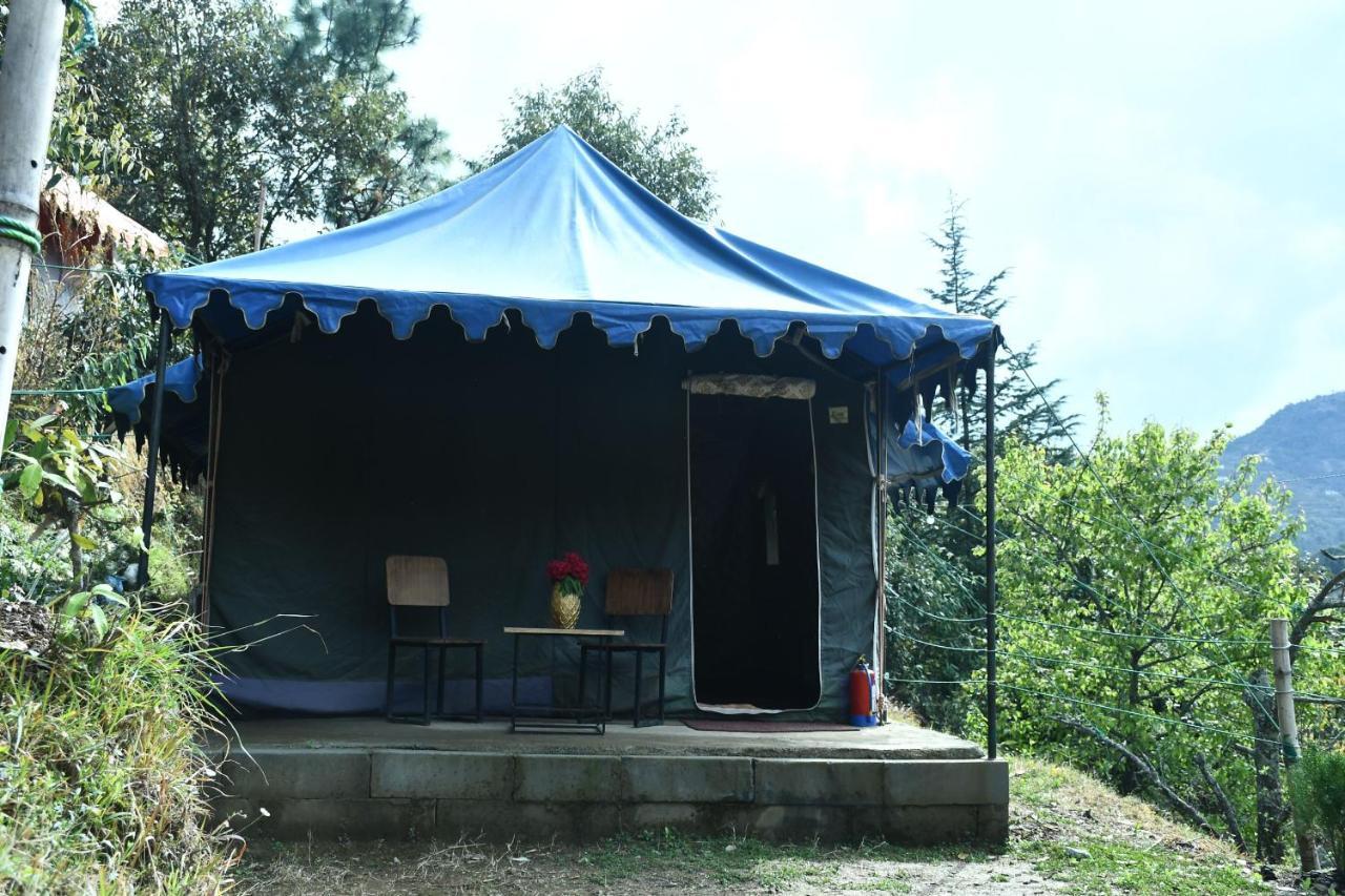 Forest Acres Camps مكتزور المظهر الخارجي الصورة