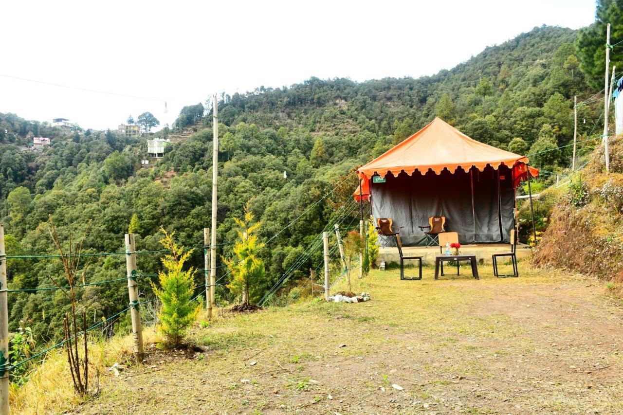 Forest Acres Camps مكتزور المظهر الخارجي الصورة