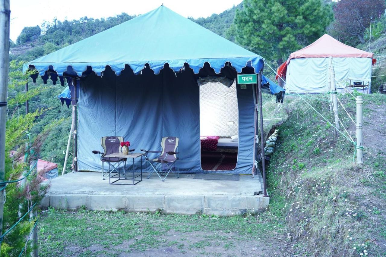 Forest Acres Camps مكتزور المظهر الخارجي الصورة