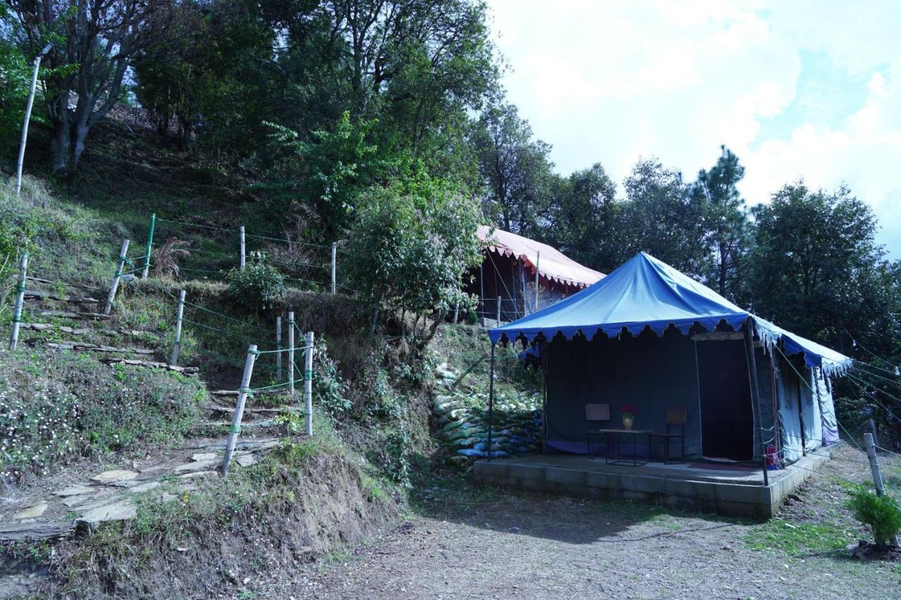 Forest Acres Camps مكتزور المظهر الخارجي الصورة