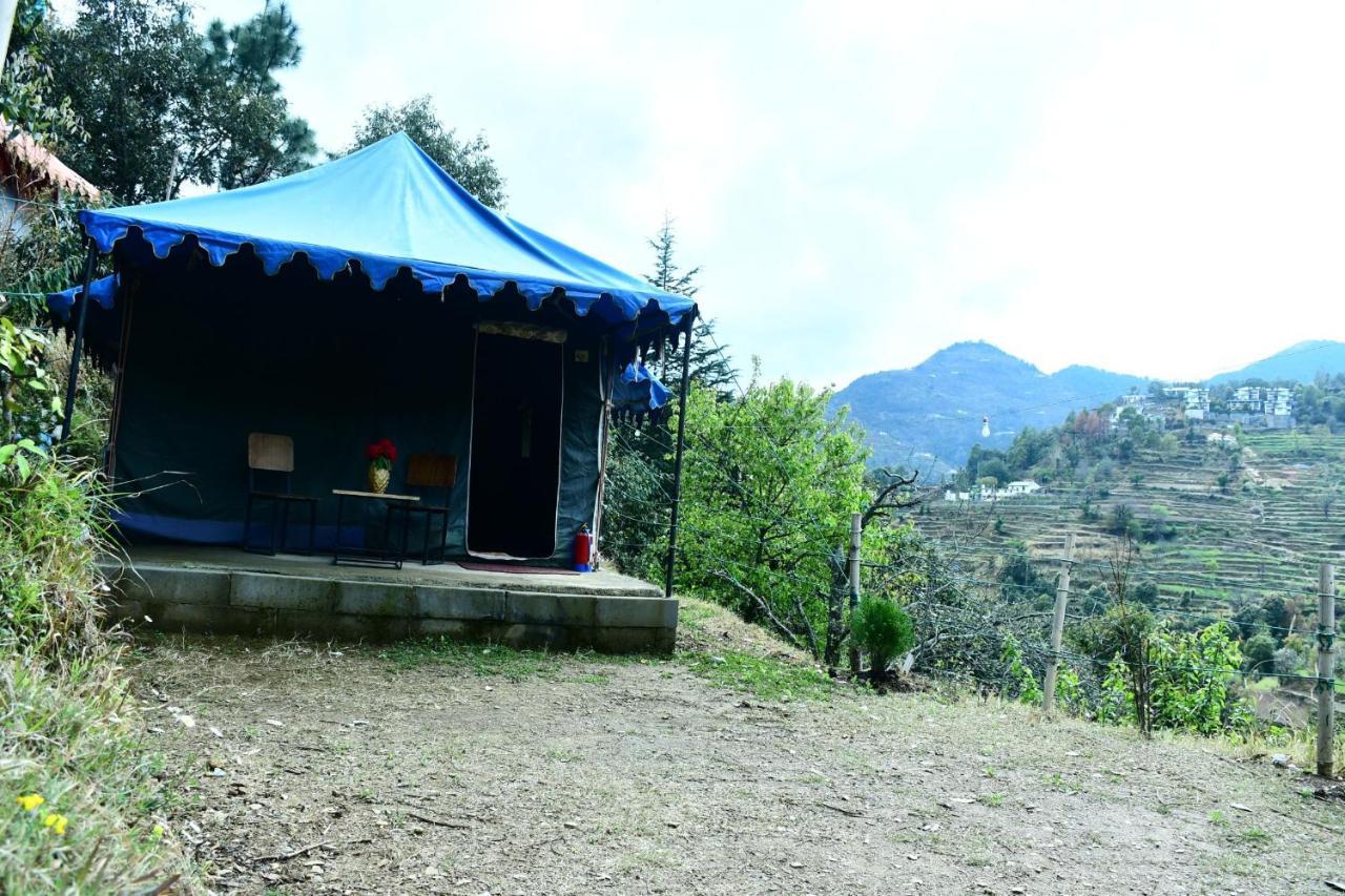 Forest Acres Camps مكتزور المظهر الخارجي الصورة