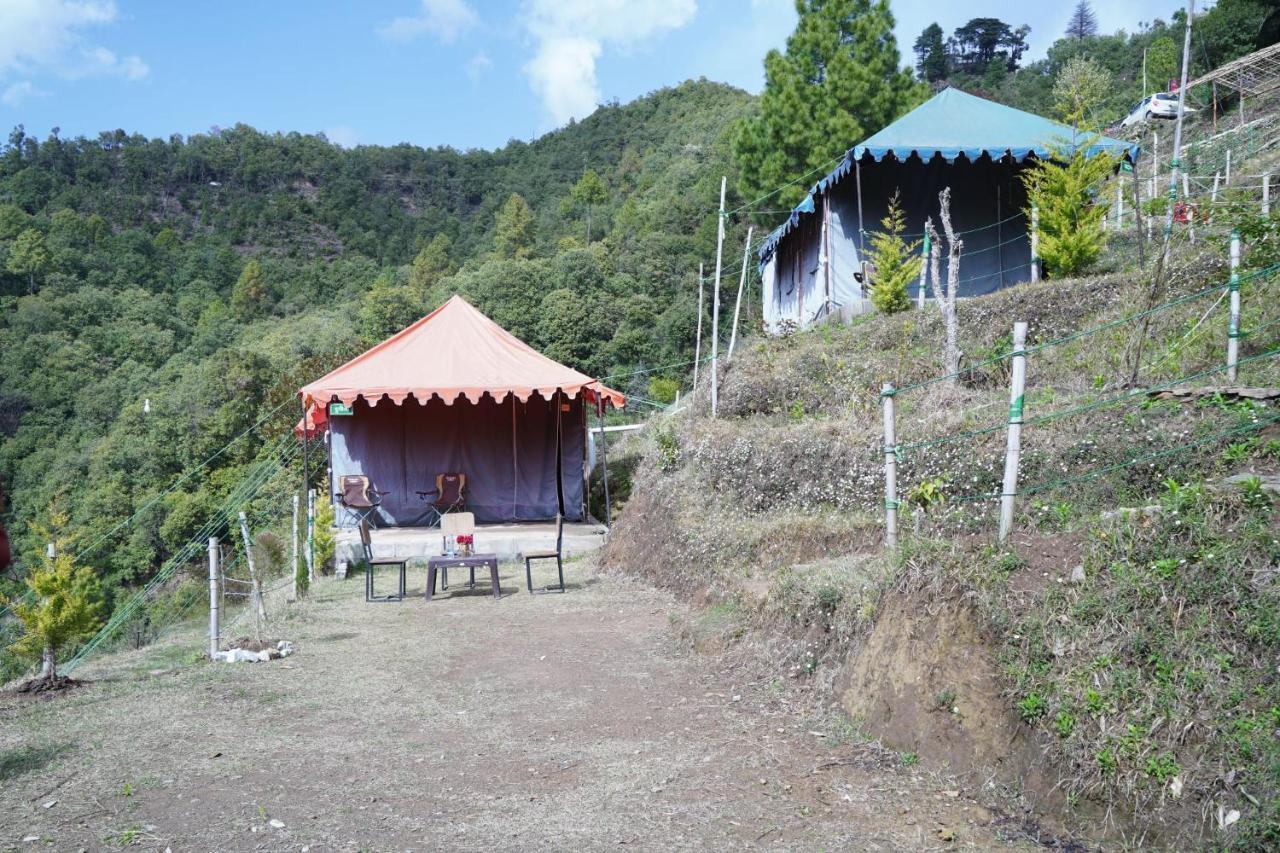 Forest Acres Camps مكتزور المظهر الخارجي الصورة