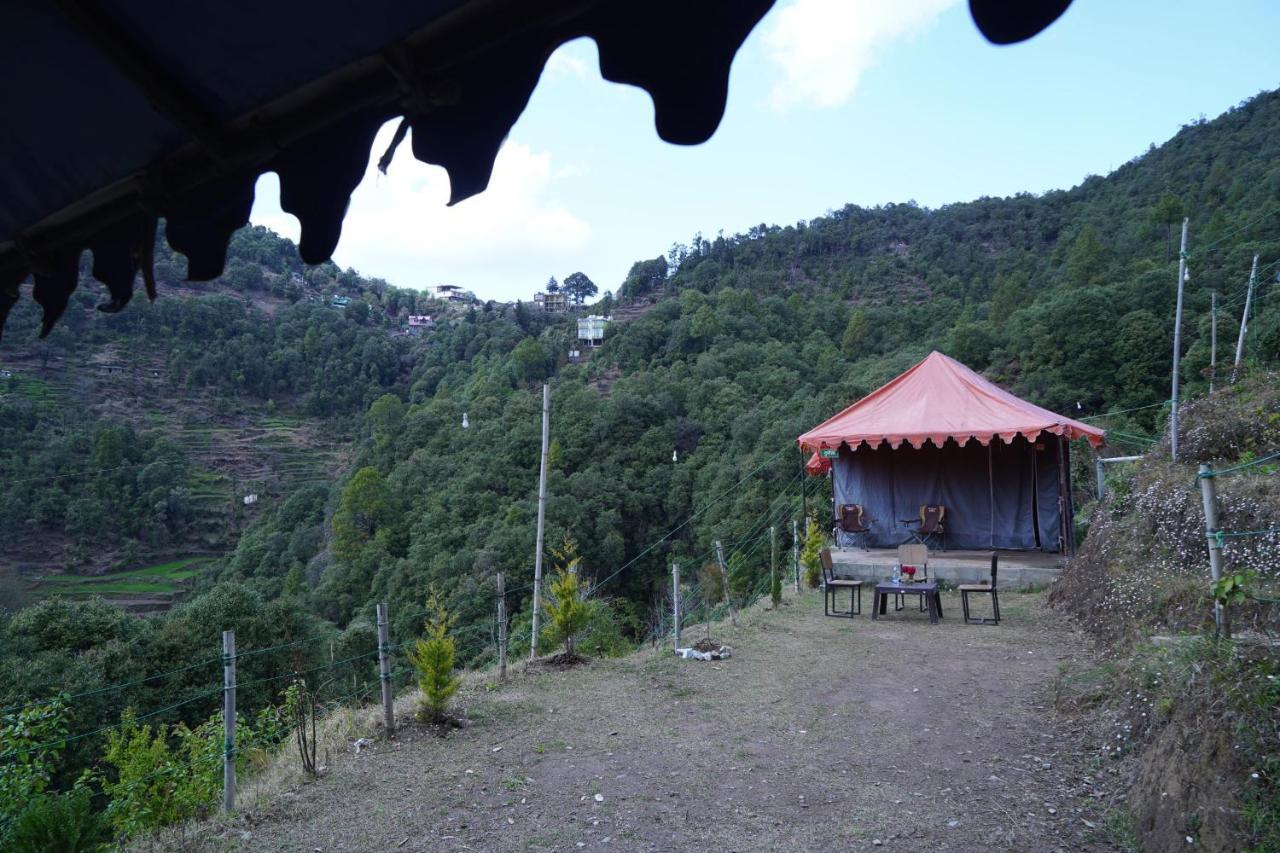 Forest Acres Camps مكتزور المظهر الخارجي الصورة