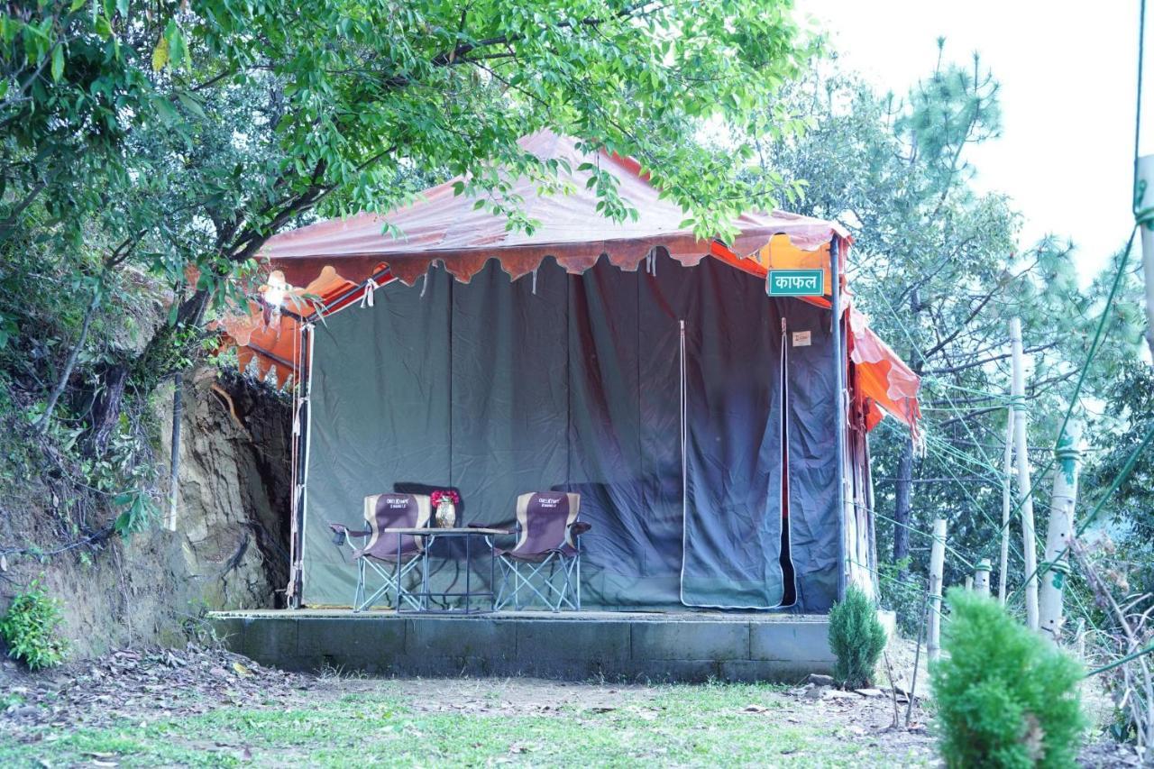 Forest Acres Camps مكتزور المظهر الخارجي الصورة