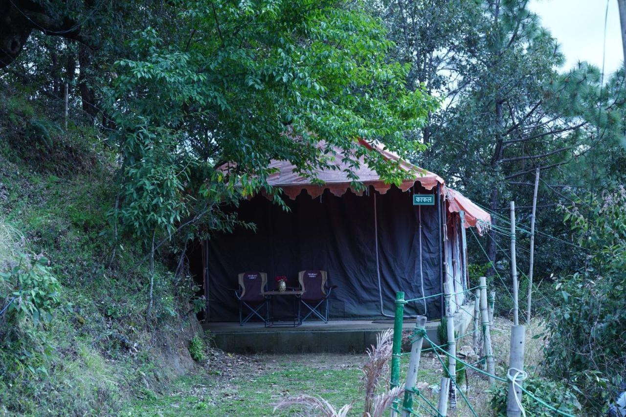 Forest Acres Camps مكتزور المظهر الخارجي الصورة